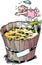 Cartoon Vector illustration of a rich pensioner who took a bath in his money bin