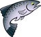 Cartoon Vector illustration of a Salmon or Trout Fish