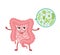 Cartoon vector illustration strong healthy happy Intestine.Stomach character illustration icon design. Microscopic bacterias. micr