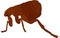 Cartoon vector image of flea on white