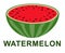 Cartoon vegan food poster - half of watermelon