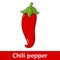 Cartoon Vegetable - Red Hot Chili Pepper