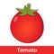 Cartoon Vegetable - Red Tomato Fruit