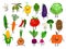 Cartoon vegetables characters