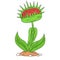 Cartoon Venus Flytrap Clipart