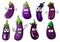 Cartoon violet eggplants or aubergines vegetables