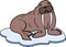 Cartoon Walrus on ice floe