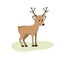 cartoon wapiti deer on grass, flat color vector illustration isolated on white background, cute illustration for