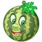 Cartoon watermelon character