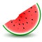 Cartoon Watermelon Slice