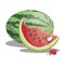 Cartoon watermelon. Sliced sweet watermelon. Pieces of juicy fruit. Summer vitamin fruit. Illustration for children.
