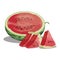 Cartoon watermelon. Sliced sweet watermelon. Pieces of juicy fruit. Summer vitamin fruit. Illustration for children.