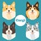 Cartoon Welsh Corgi faces set. Vector illustration