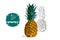 Cartoon whole colorful ananas and hand drawn sketch pine silhouette