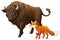 Cartoon wild animal bison aurochs and fox isolated illustration for children