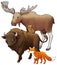 Cartoon wild animal bison aurochs and fox isolated illustration for children