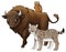 Cartoon wild animal bison aurochs and lynx isolated illustration for children