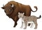 Cartoon wild animal bison aurochs and lynx isolated illustration for children