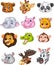 Cartoon wild animal head collection