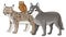 Cartoon wild animal wolf or dog and wild cat lynx isolated illustration for children