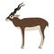 Cartoon wild antelope