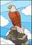 Cartoon wild birds for kids: Eagle. Cute eagle sits on the rock.