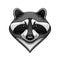 Cartoon wild raccoon animal mascot