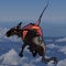 Cartoon wildebeest flying above the clouds by parachute