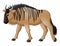 Cartoon wildebeest mascot