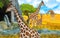 Cartoon wildlife safari scene with lion and giraffe illustration