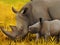 Cartoon wildlife safari scene wild rhinoceros illustration for children