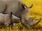 Cartoon wildlife safari scene wild rhinoceros illustration for children