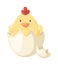 Cartoon yellow newborn chicken in the broken egg shell vector.