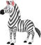 Cartoon zebra isolated on white background