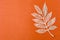 The carve of white paper maple leaves on a orange color background