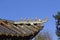 Carved animal figures decorating elements of the gilded roof of a Chinese Buddhist temple