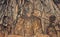 Carved Buddha images at Longmen Grottoes, Luoyang, Henan