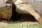 Carved Cave at Vessagiria Ruins