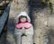 Carved child statue at temple in Kamakura area