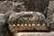 Carved decorative lintel at the ruins of Capernaum in Israel