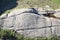 The carved figure of a boar on the summit rock at Dunadd fort, Argyll, Scotland