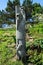 Carved figure at the entrance to the disused Ravenscar station