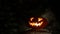 Carved Halloween pumpkin lights inside with flame on a black background close up