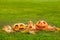Carved halloween pumpkins on outdoor green grass