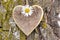 Carved heart at tree bark