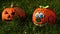 Carved Jack o lantern and whole smiling pumpkin with painted face as halloween decoration in morning sunshine on green lawn