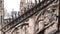 Carved marble overlays with patterns on the roof of the Duomo. Milan, Italy