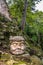 Carved old man head at Mayan Ruins - Copan Archaeological Site, Honduras