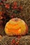 Carved pumpkin display for Halloween