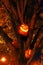 Carved pumpkins with eerie faces are placed in a tree